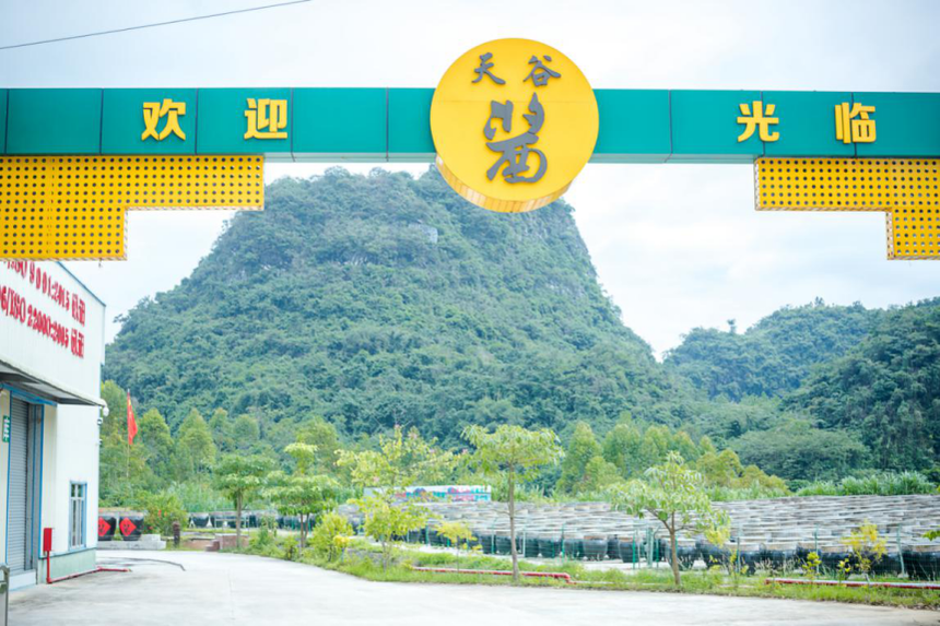 1690873334623143.png 圖片 14.png