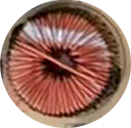 Ȧ.png