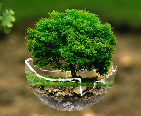 1681283386334018.jpg 內頁公司簡介配圖.jpg