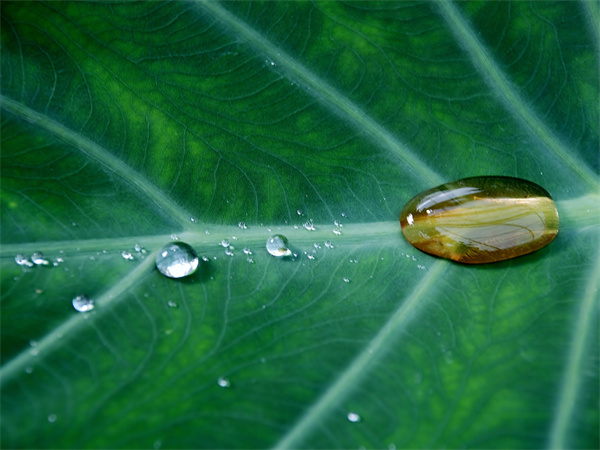 1681435348332325.jpg 環(huán)境42.jpg