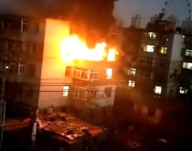 1689212971723105.jpg bba1cd11728b4710af5e7cdd6f8192f4fc032302(1).jpg