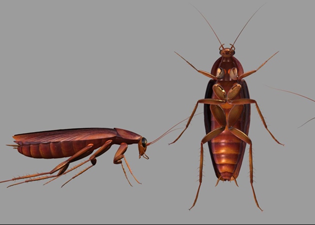 1690342648860997.jpg 5.jpg