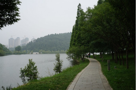 1683268913935152.png image.png