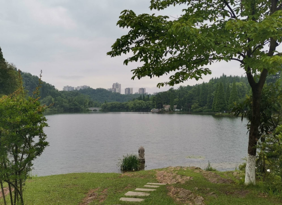 1683268990891644.png image.png