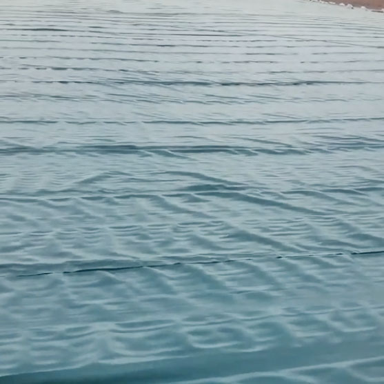 1680339526429.jpg