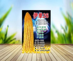伊單26