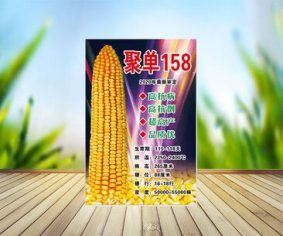 聚單158