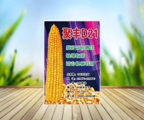 聚單D21