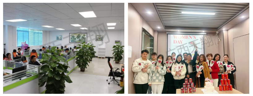 1764227164780720.png image.png