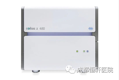 �������-ӫ�ⶨ��PCR.png