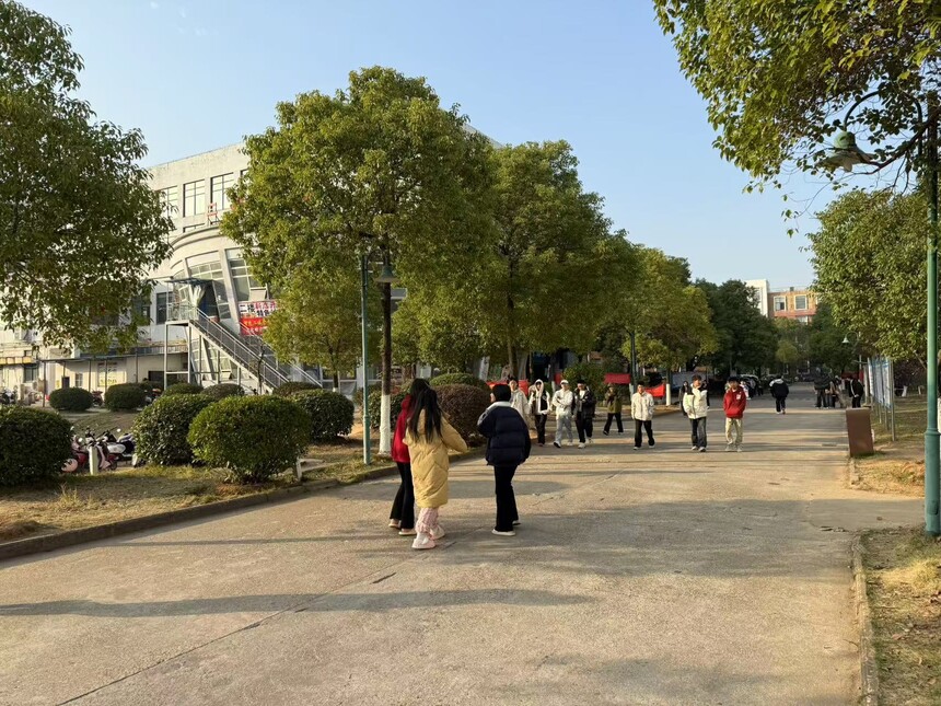 05.jpg