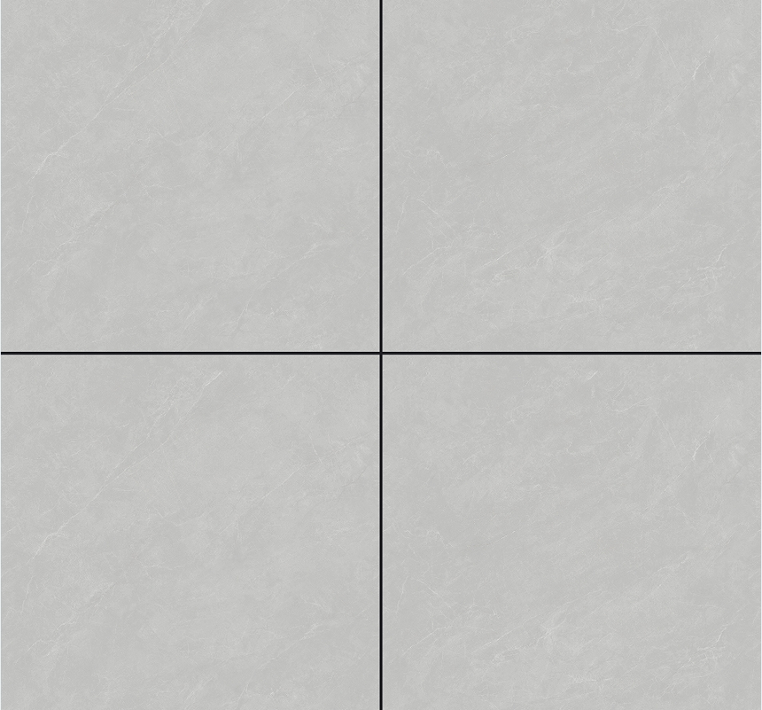WT8905.png