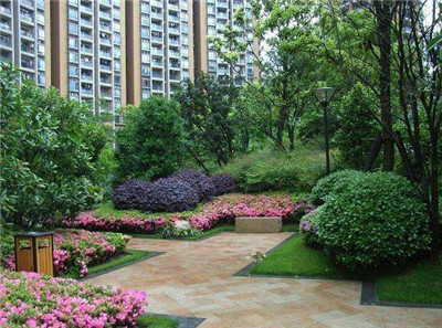 1683525866570804.jpg 绿化养护1.jpg