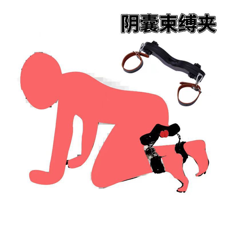O1CN01LRDw7X20HRWiBEaIX_!!3923156824-0-cib.jpg