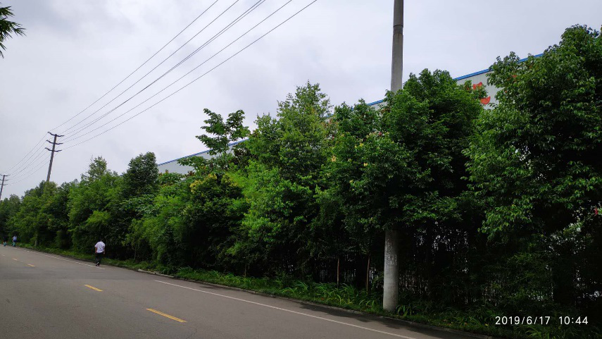 1684746716443097.png 99.png