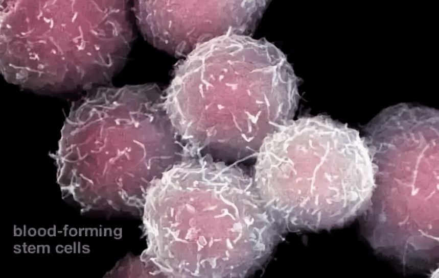 1760583180420880.png ScreenShot_2025-10-16_105155_693.png