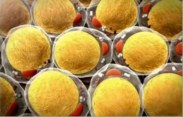 1760583486348676.png ScreenShot_2025-10-16_105528_733.png