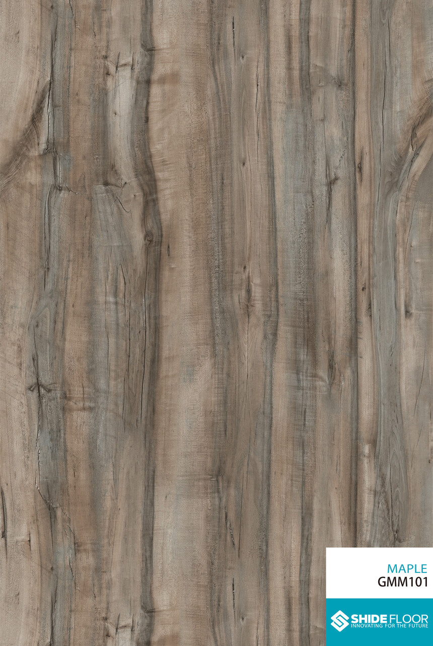 11MAPLE GMM101  BD82215-1.jpg
