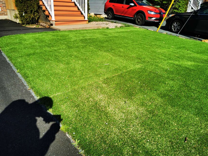 backyard-01.jpg