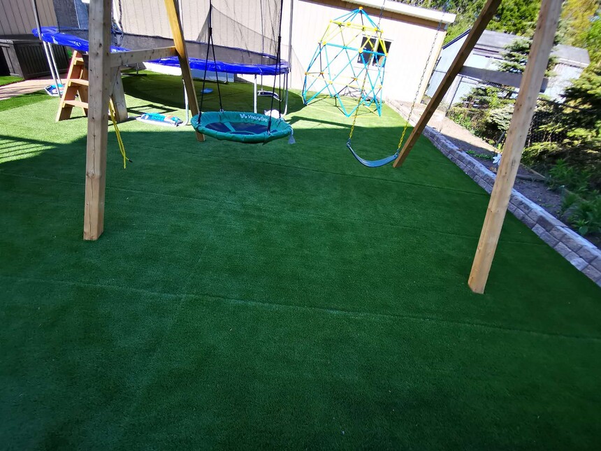 backyard-03.jpg