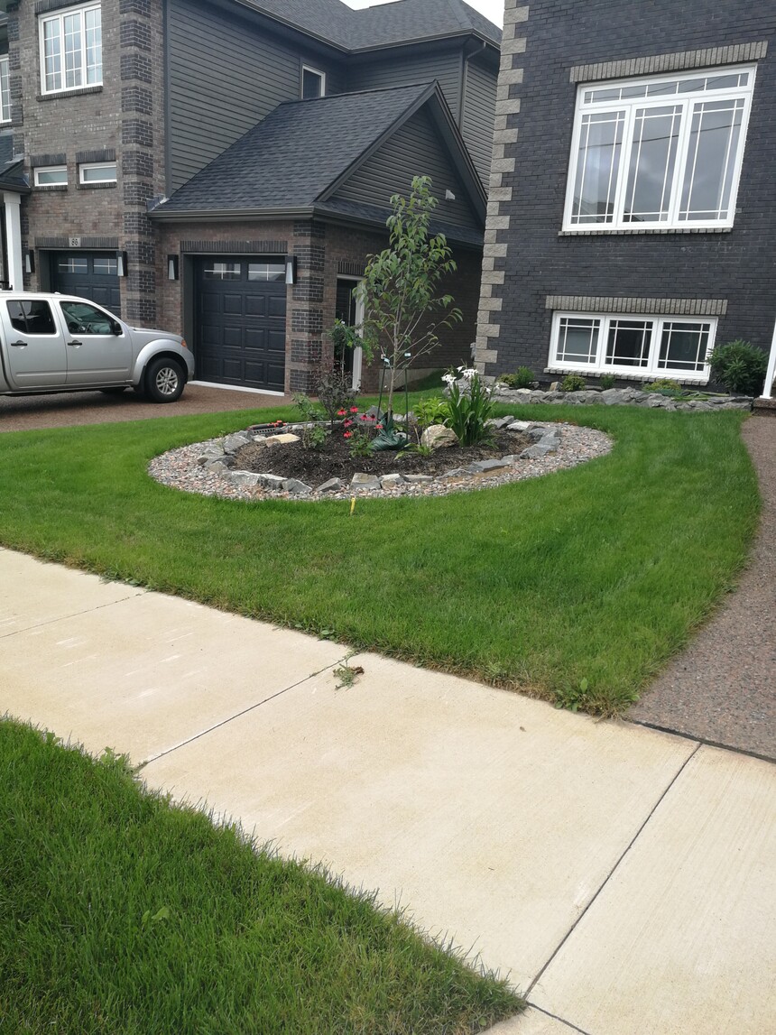 backyard-05.jpg
