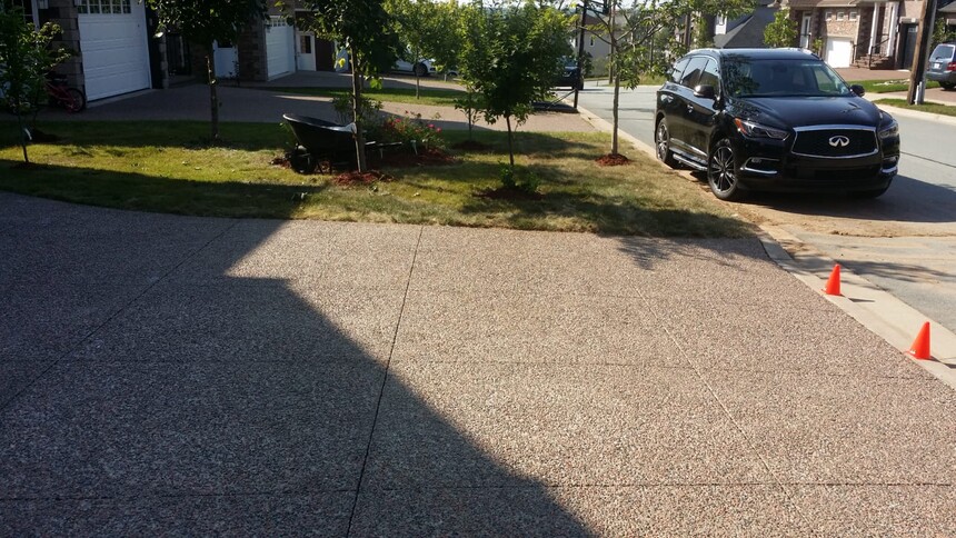backyard-10.jpg