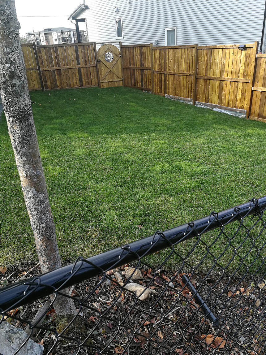 Fence-11.jpg
