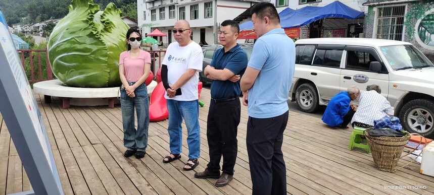 1691890549437061.jpg 1691890549437061.jpg