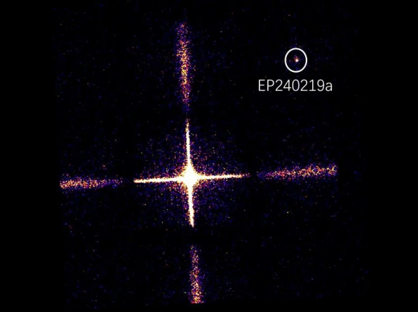 W020240427355729868180ввввввввв.png