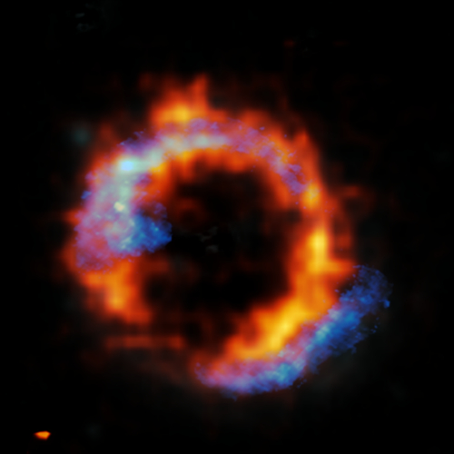 W020240716515593400371tryҲطʿ.jpg