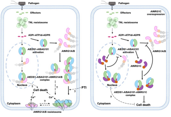 1740296371996165.png 不能不能不能.png