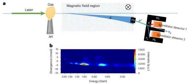 1748832248263907.png 11.png