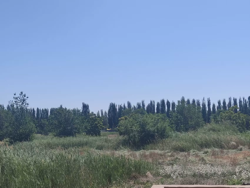 1787132155817526.png