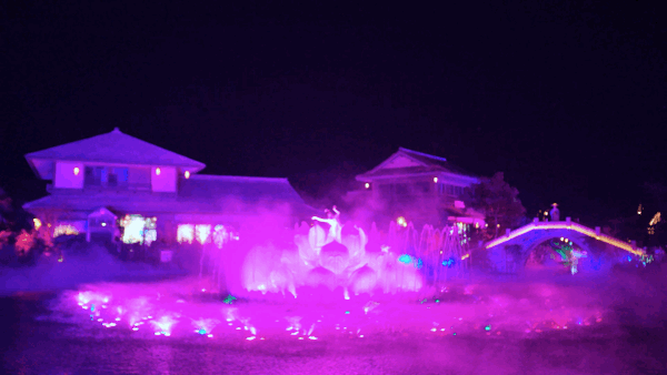 640 (7).gif