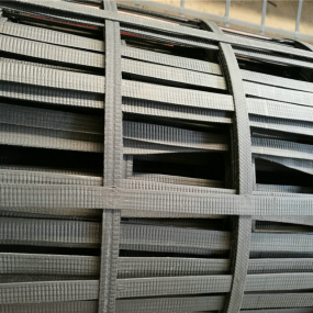 Steel plastic geogrid
