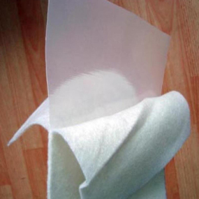 composite geomembrane