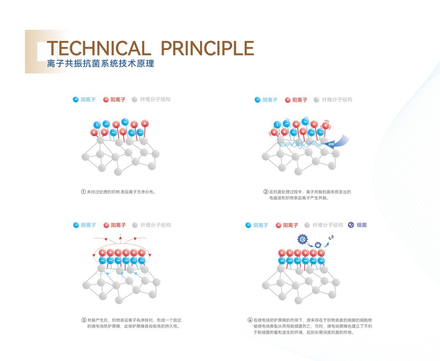 ƷƮ(hu)(c)PDF-12.jpg