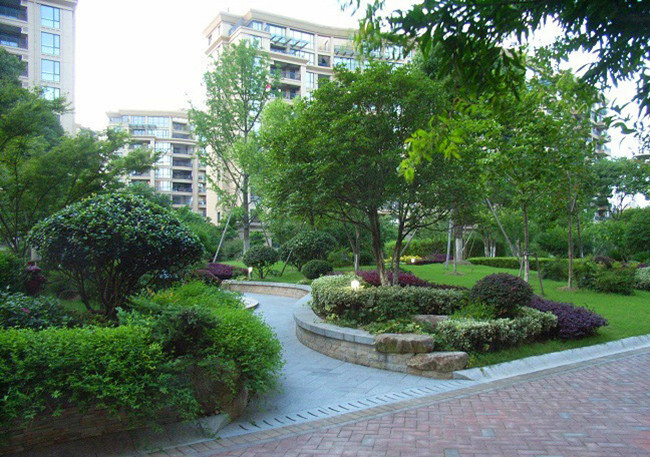 社区绿化_河南圣锦建设工程有限公司