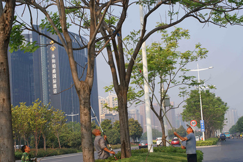 河南圣錦建設工程有限公司 河南圣錦建設工程有限公司