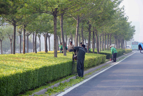 圣錦建設(shè)工程 圣錦建設(shè)工程