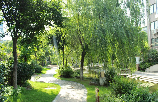 河南圣錦建設工程有限公司 河南圣錦建設工程有限公司