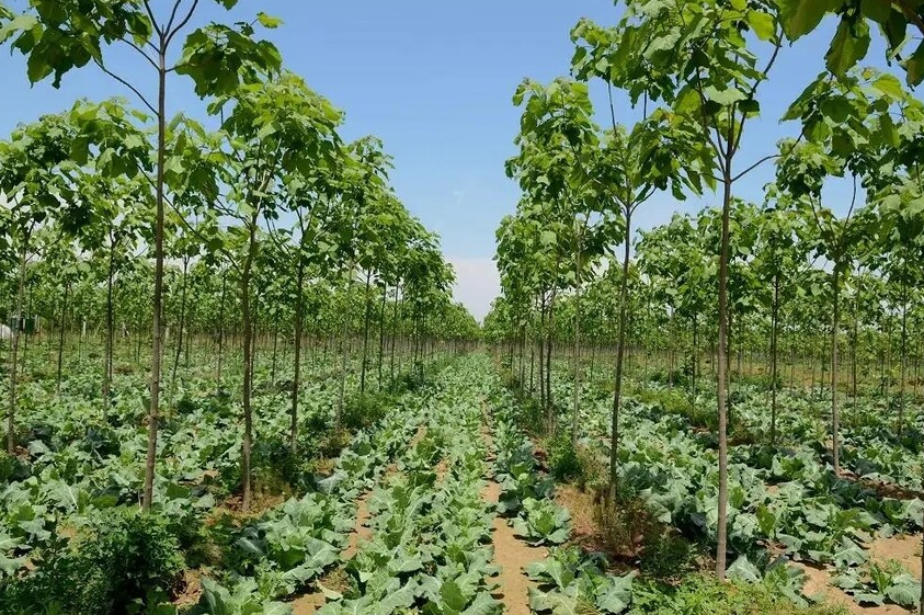 ����ʥ�\���O�������޹�˾