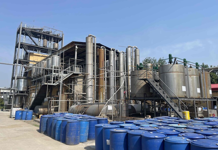 ʮ��������