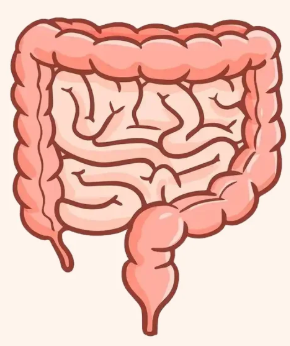 1754276498375247.png 1754276498375247.png
