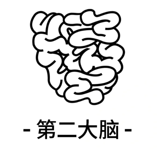 1755224503597851.png