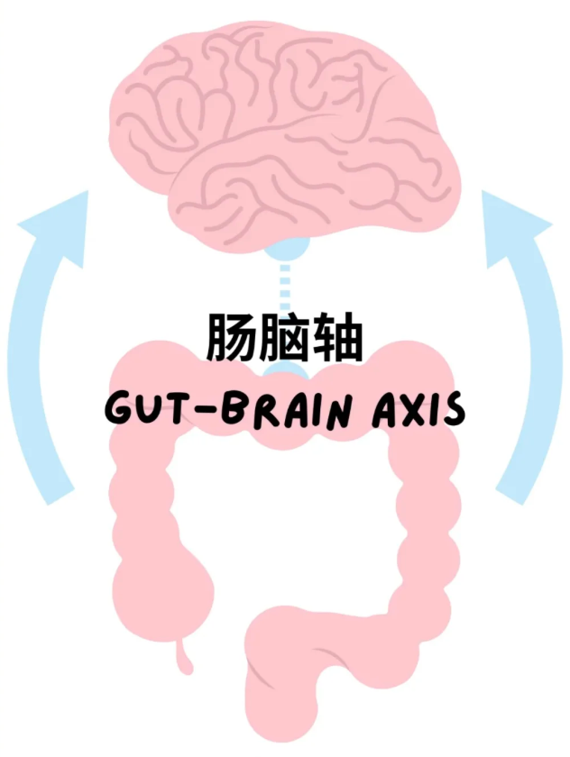 1755488397484629.png
