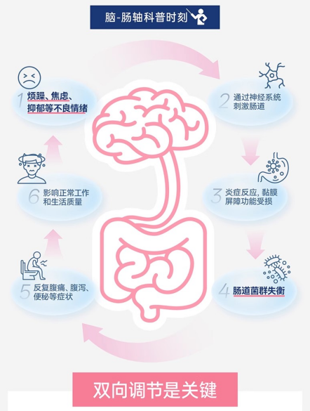 大脑与肠道之间存在神奇互动，cns藏红花益生菌双向干预，让脑肠良好互动