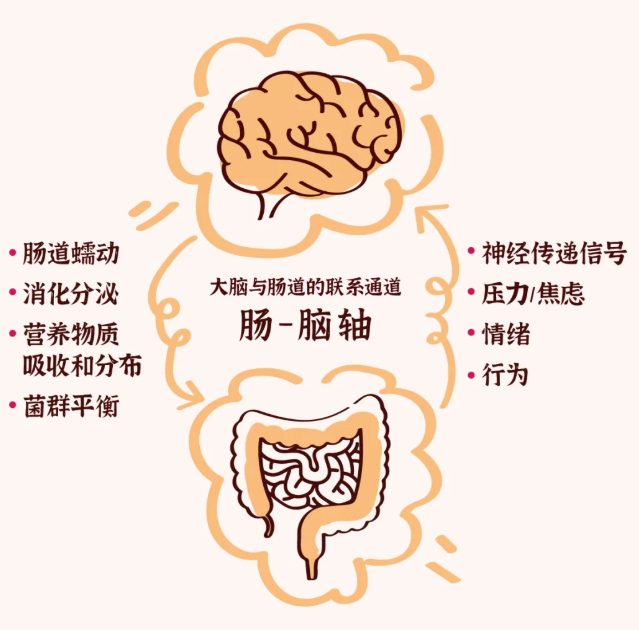 1757037410663899.png