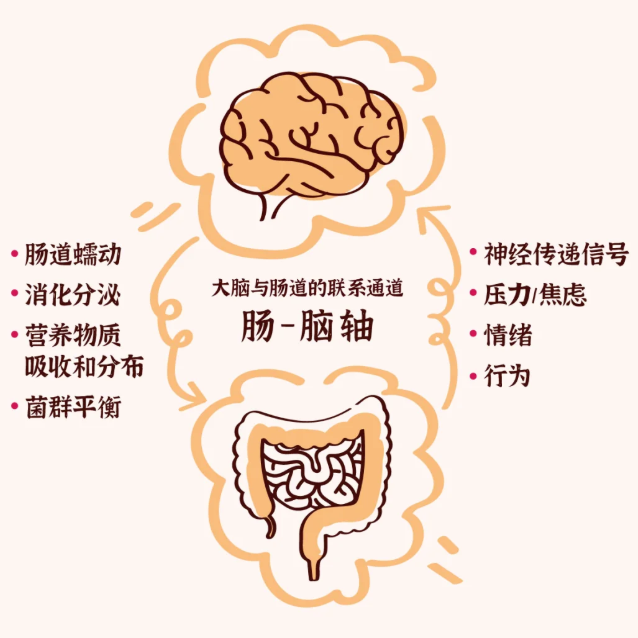 1759116963498382.png