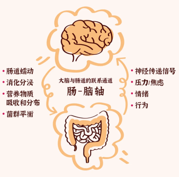1760496273678657.png